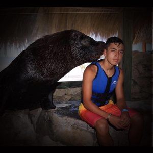 Meet your Posher, Bryan